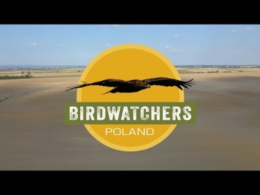 Birdwatchers: Poland - pełnometrażowy film dokumentalny powstał na bazie serialu pod tym samym tytułem