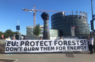 Parlament Europejski częściowo ogranicza wsparcie dla spalania lasów