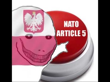 Poland NATO article 5 button