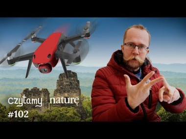 Dron w wirtualnym lesie, mózg w ultra-HD, Majowie modelują miasta | Czytamy naturę #102