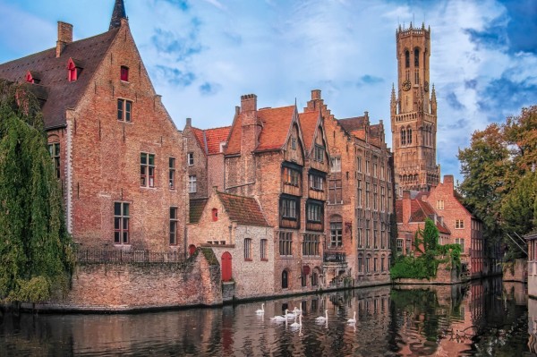 A row of red brick medieval buildings along a canal with a group of swimming swans. In the distance a medieval tower rises to the top of the frame.