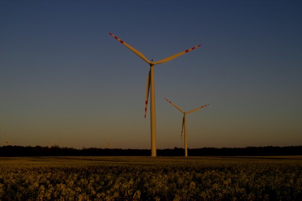 The photo shows an evening landscape, in the foreground a field of blooming rapeseed, wind turbines, and a dark forest in the distance.
