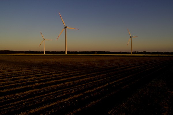 View of a plowed field and wind turbines in the distance, evening.