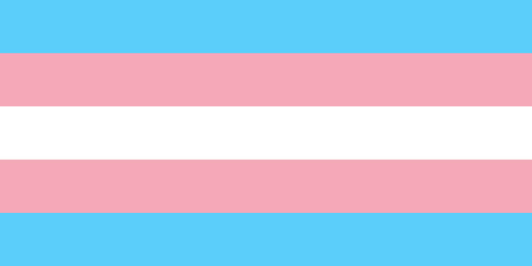 Flaga w barwach osób transpłciowych