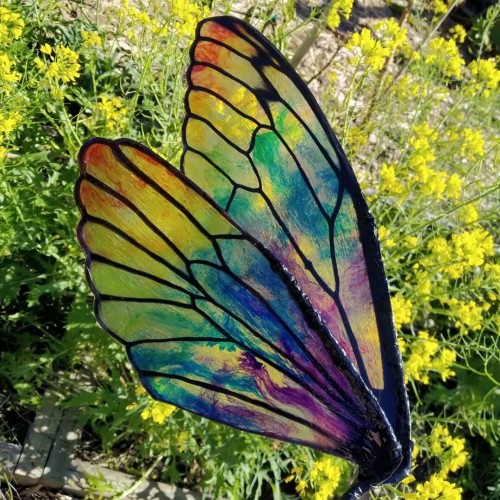 Rainbow-coloured semi-transparent dragonfly style wings